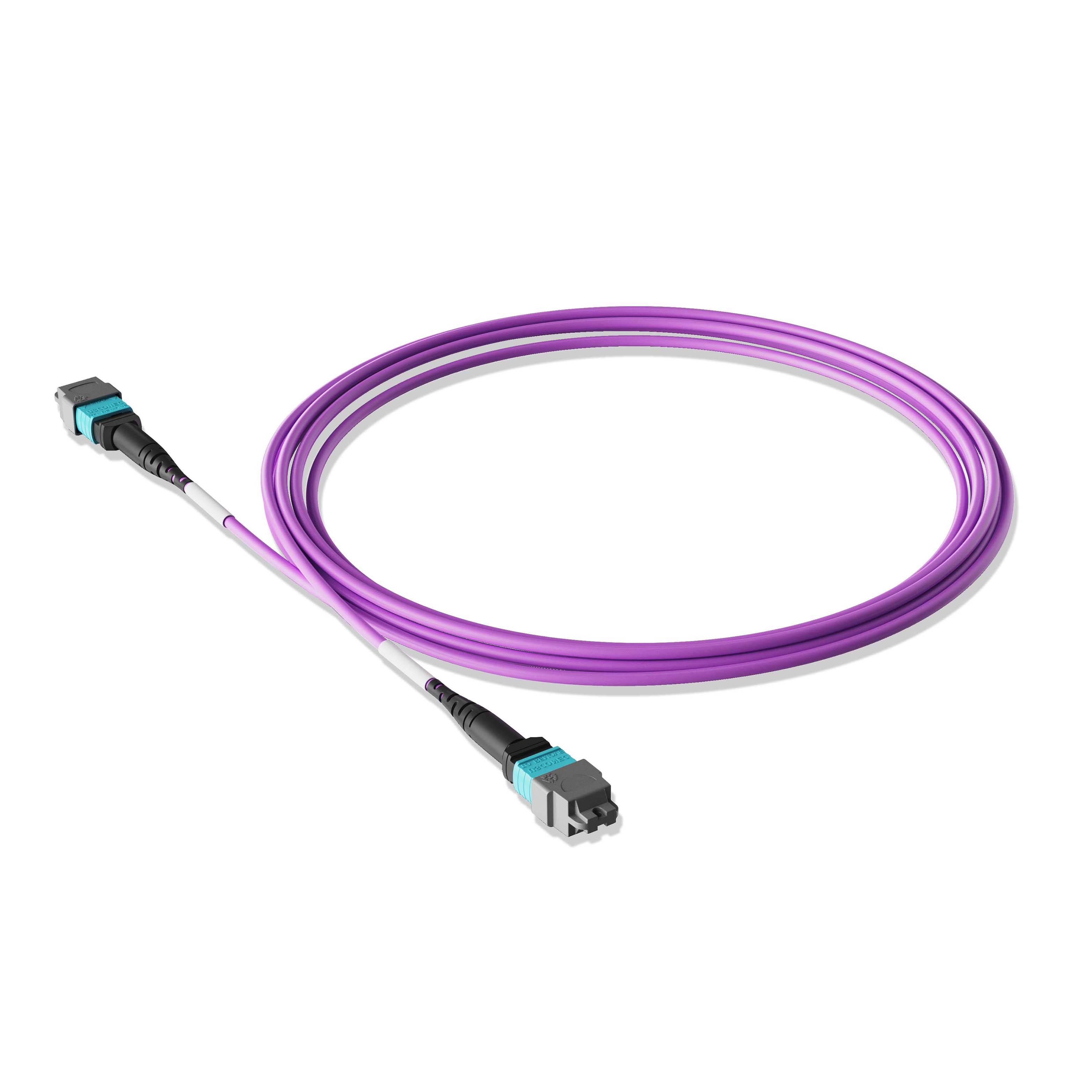 1m 3ft MTP Jumper 16 Fibers MTP-16 APC Female to MTP-16 APC Female Multimode OM4 Plenum OFNP 0.35dB Max 3.0mm Magenta
