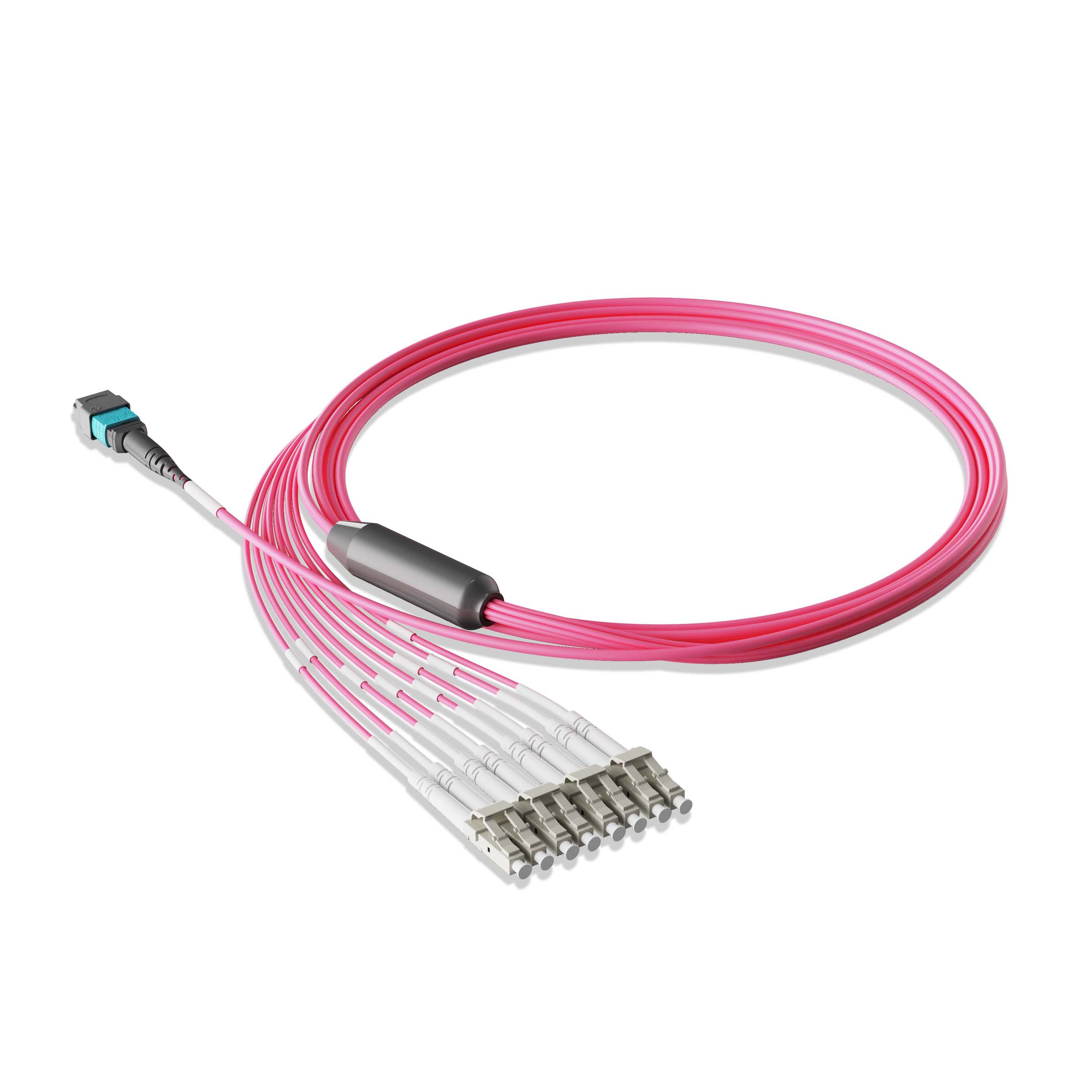 1m 3ft MPO Breakout Harness 8 Fibers MPO-8 UPC Female to 4xLC UPC Duplex Multimode OM4 Plenum OFNP 0.35dB Max Type B Magenta