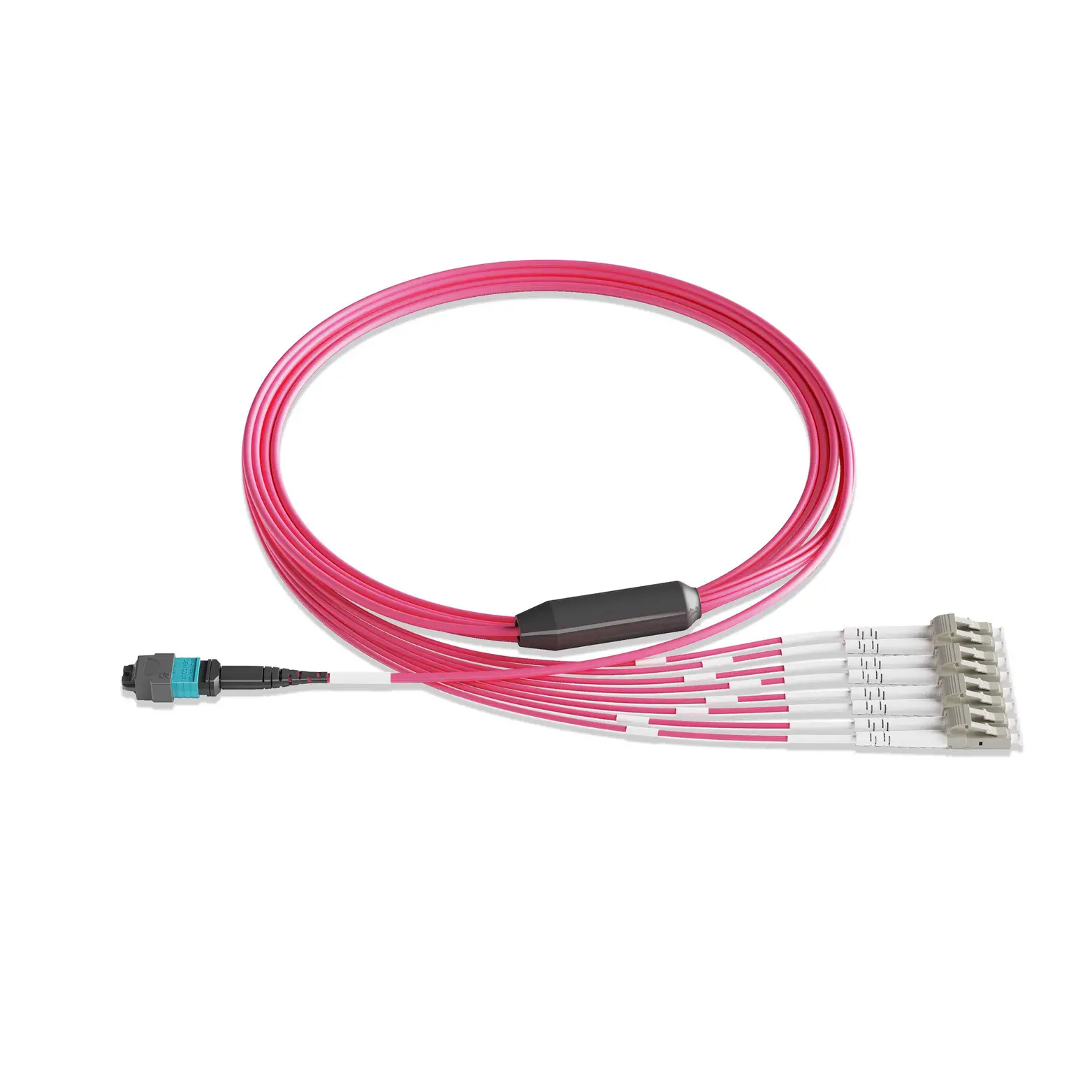 5m 16ft MTP Breakout Harness 8 Fibers MTP-8 UPC Female to 4xLC UPC Duplex Multimode OM4 Plenum OFNP 0.35dB Max Type B Magenta