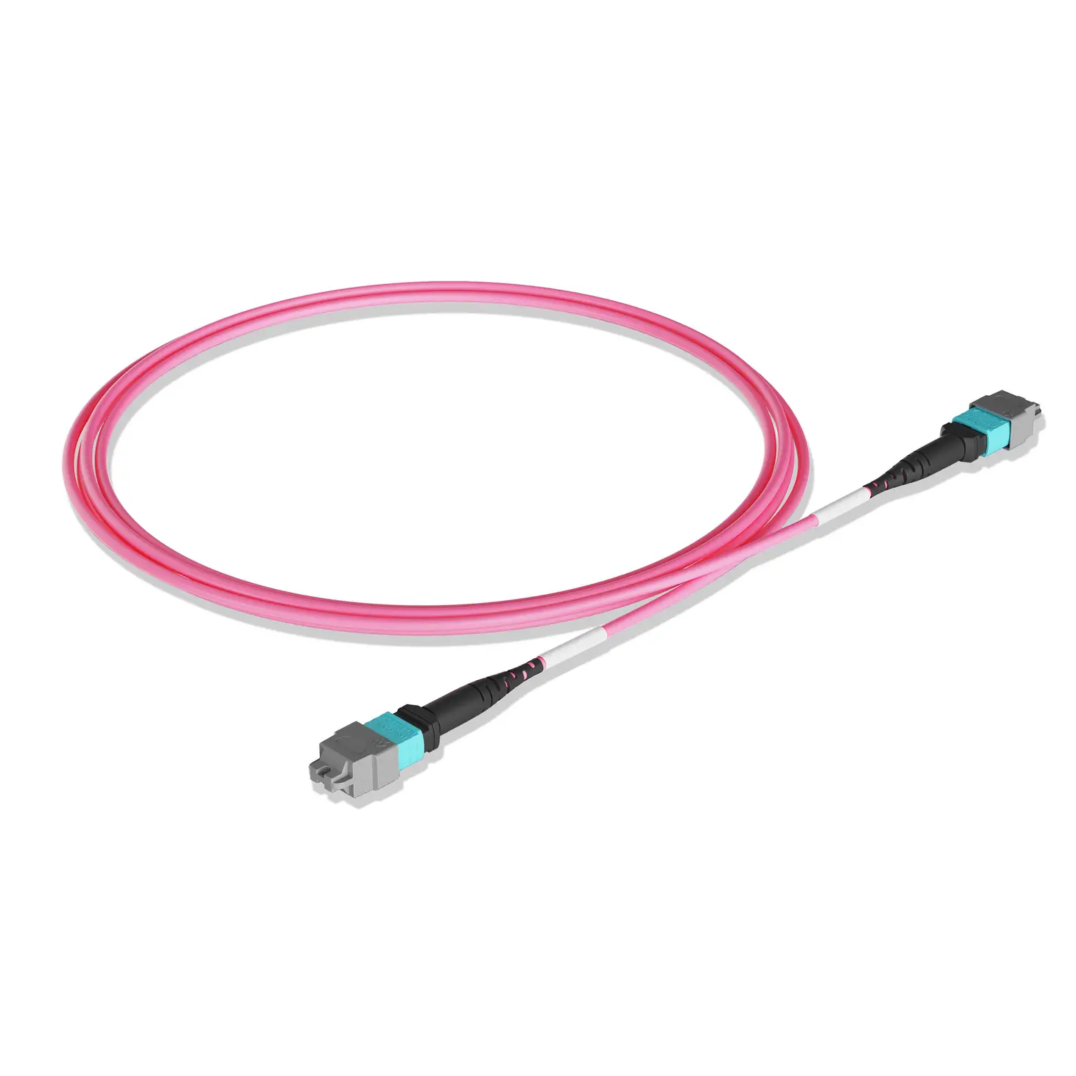 50m 164ft MTP Jumper 8 Fibers MTP-12 APC Female to MTP-12 APC Female Multimode OM4 Plenum OFNP 0.35dB Max Type B 3.0mm Magenta