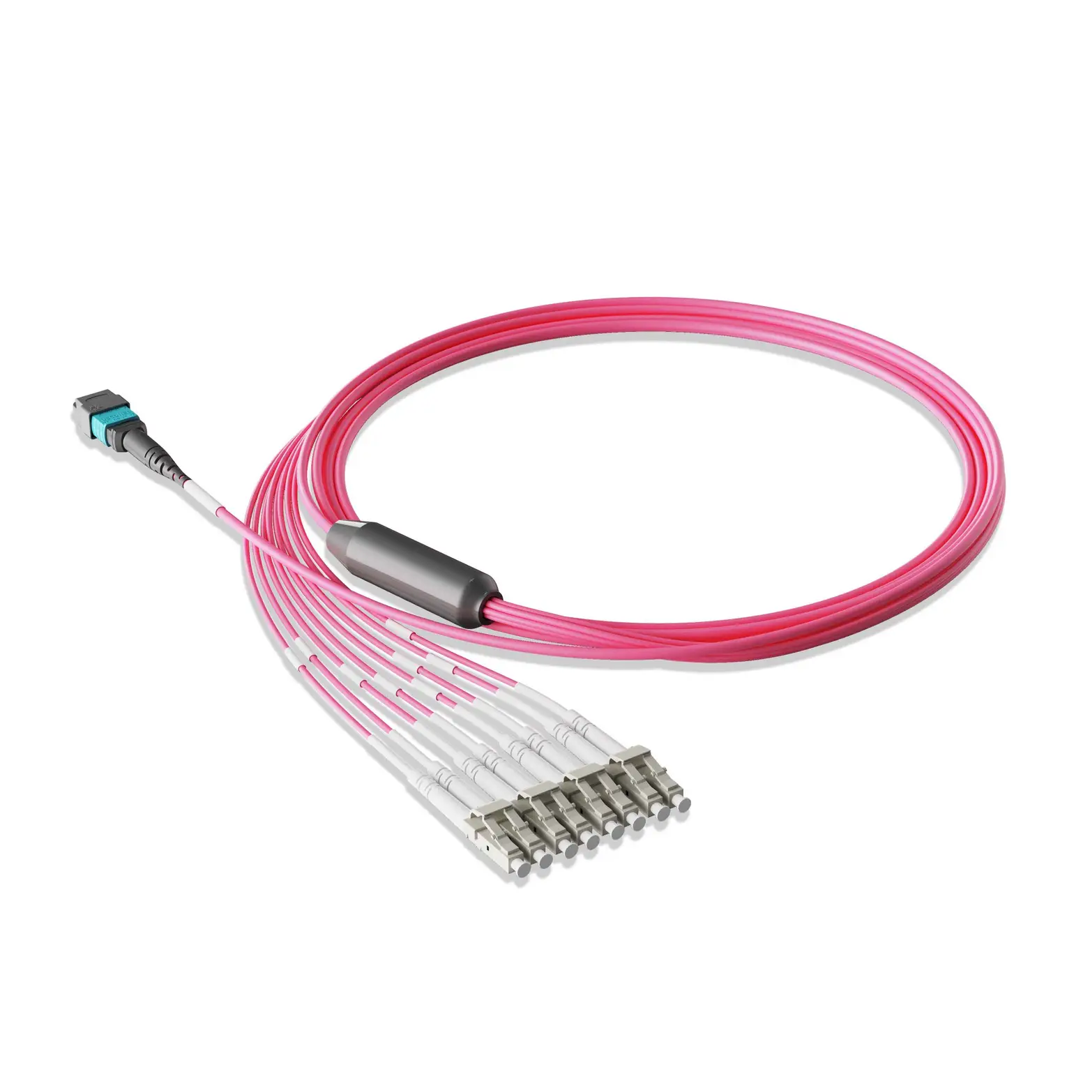 20m 66ft MTP Breakout Harness 8 Fibers MTP-8 UPC Female to 4xLC UPC Duplex Multimode OM4 Plenum OFNP 0.35dB Max Type B Magenta