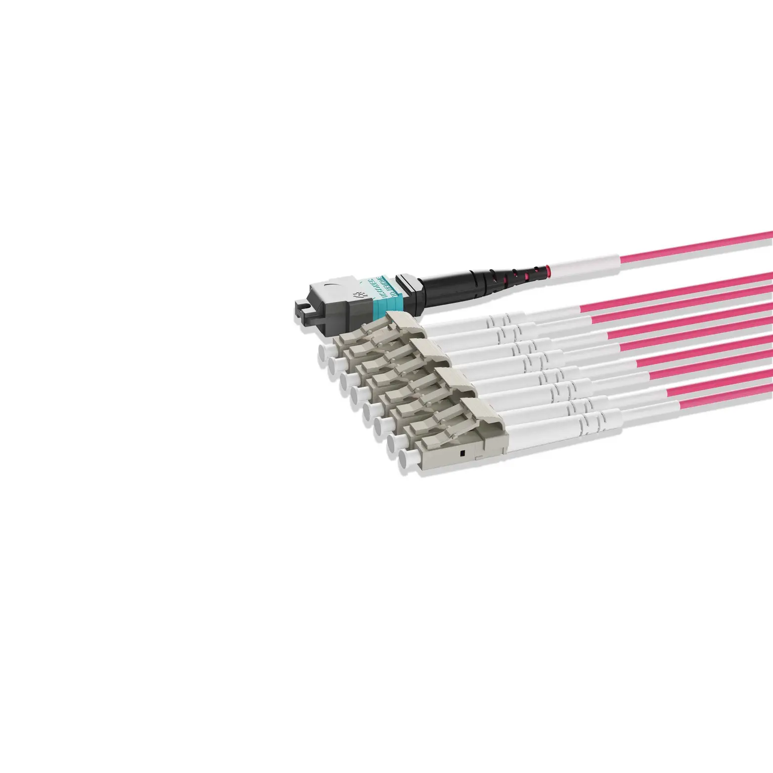 15m 49ft MTP Breakout Harness 8 Fibers MTP-8 UPC Female to 4xLC UPC Duplex Multimode OM4 Plenum OFNP 0.35dB Max Type B Magenta