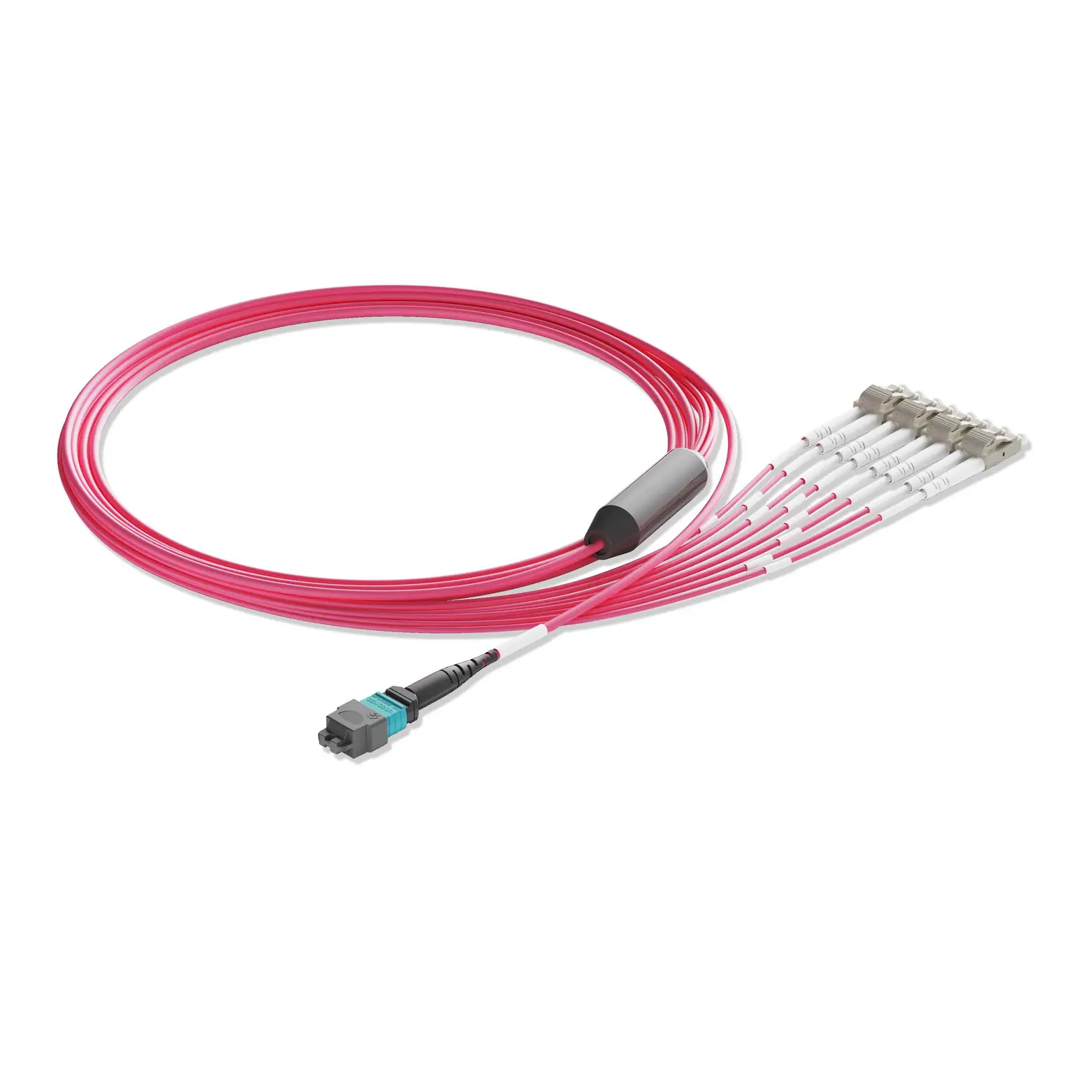25m 82ft MTP Breakout Harness 8 Fibers MTP-8 UPC Female to 4xLC UPC Duplex Multimode OM4 Plenum OFNP 0.35dB Max Type B Magenta